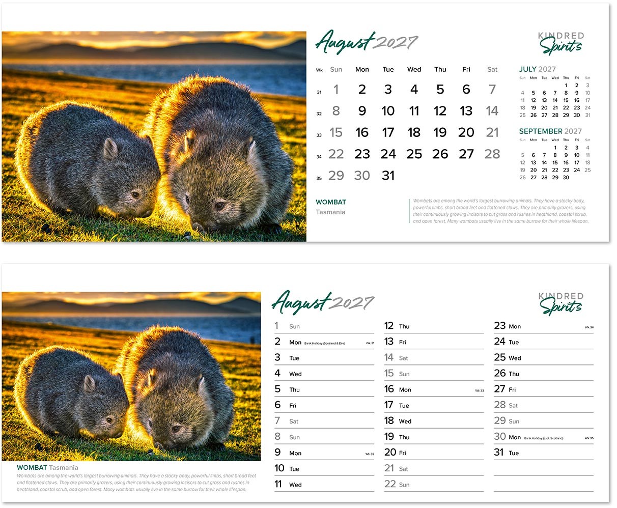 Kindred Spirits Premium Lined Easel Desk Calendar