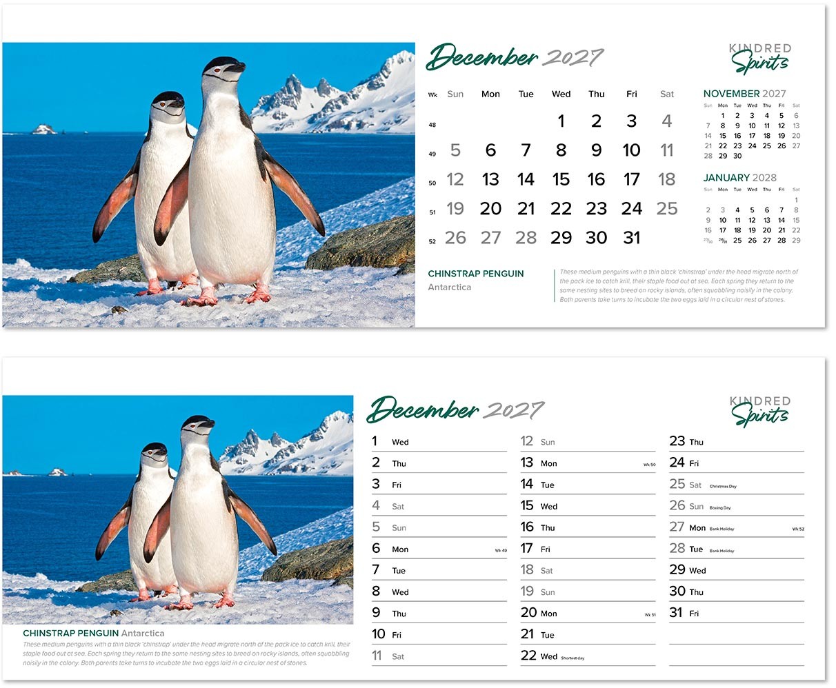 Kindred Spirits Premium Lined Easel Desk Calendar