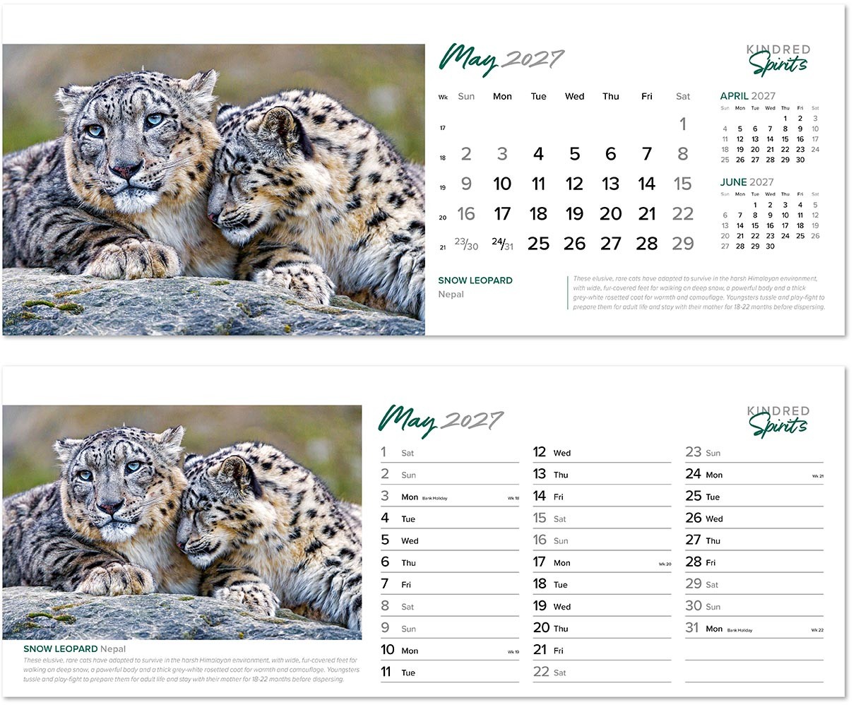 Kindred Spirits Premium Lined Easel Desk Calendar