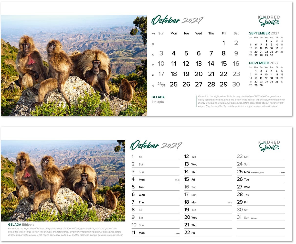 Kindred Spirits Premium Lined Easel Desk Calendar
