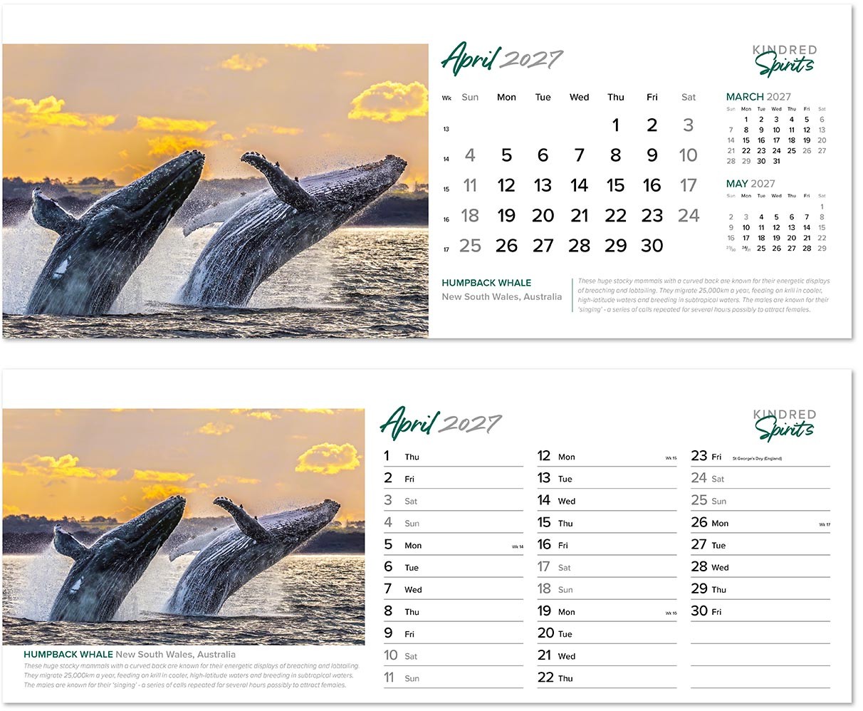 Kindred Spirits Task Station Desk Calendar
