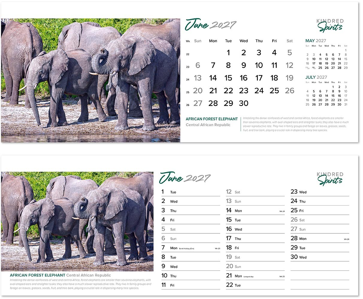 Kindred Spirits Task Station Desk Calendar