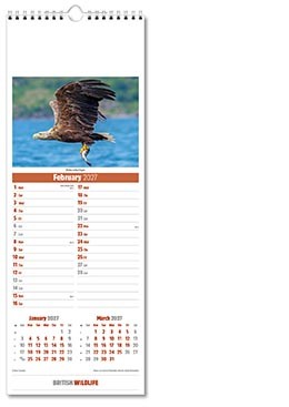Slimline British Wildlife Calendar