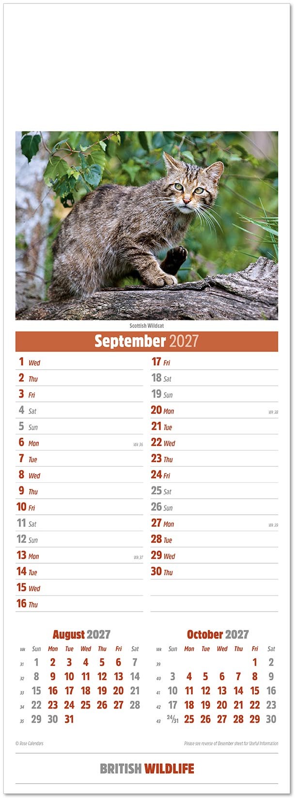Slimline British Wildlife Calendar