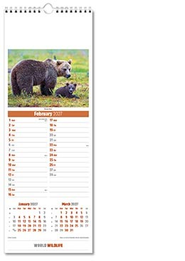 Slimline World Wildlife Calendar