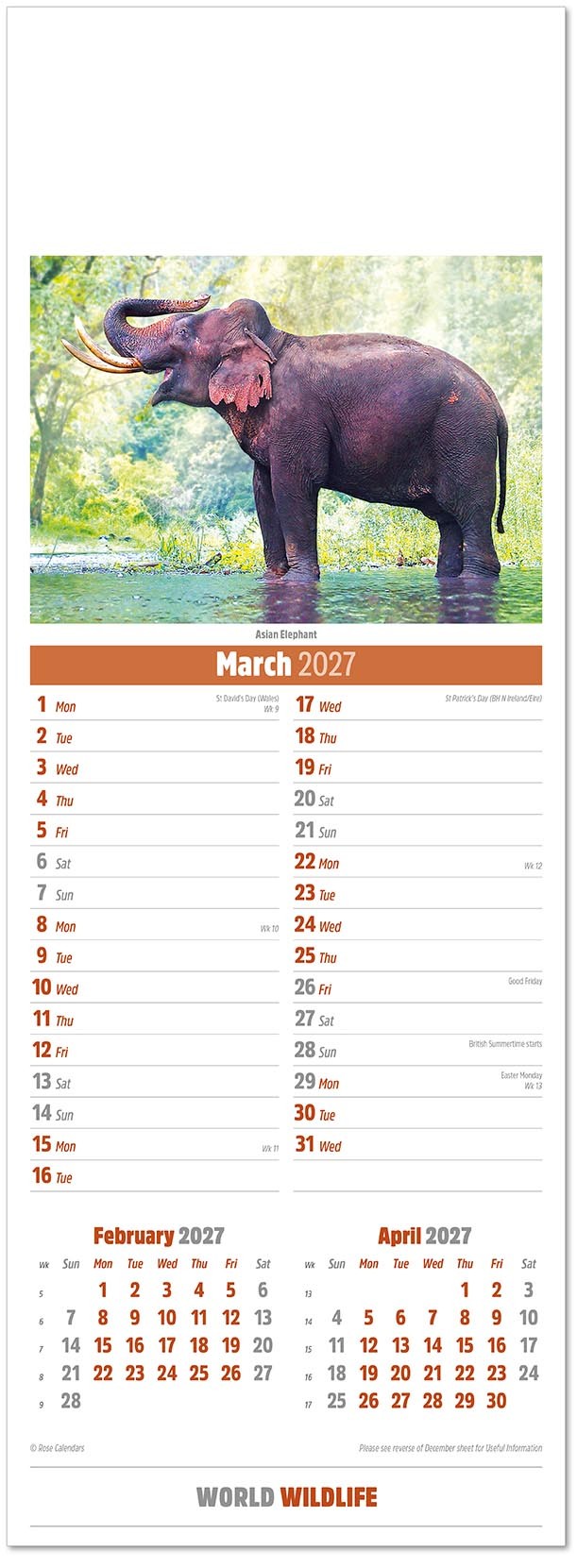 Slimline World Wildlife Calendar